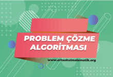 problem cozme algoritmasi